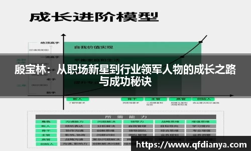 殷宝林：从职场新星到行业领军人物的成长之路与成功秘诀